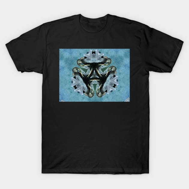 Abstract Anhinga T-Shirt by kcrystalfriend